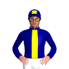 Jockey Silk