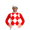 Jockey Silk