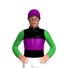 Jockey Silk