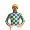 Jockey Silk