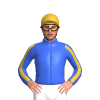 Jockey Silk