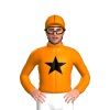Jockey Silk