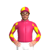 Jockey Silk