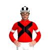 Jockey Silk