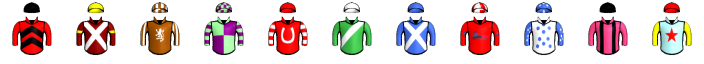 Runner silk