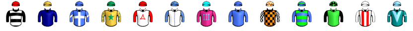 Runner silk