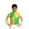 Jockey Silk