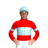 Jockey Silk