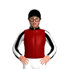 Jockey Silk