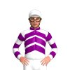 Jockey Silk