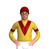 Jockey Silk