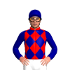 Jockey Silk