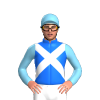 Jockey Silk