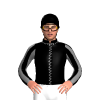 Jockey Silk