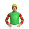 Jockey Silk