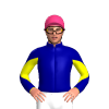 Jockey Silk