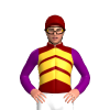 Jockey Silk