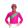 Jockey Silk