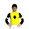 Jockey Silk