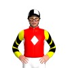 Jockey Silk