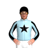 Jockey Silk