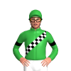 Jockey Silk