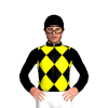 Jockey Silk