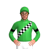 Jockey Silk