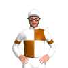 Jockey Silk