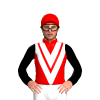 Jockey Silk