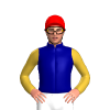 Jockey Silk