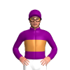 Jockey Silk