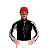 Jockey Silk