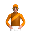 Jockey Silk