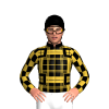 Jockey Silk