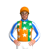 Jockey Silk