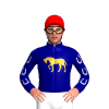 Jockey Silk