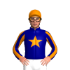 Jockey Silk