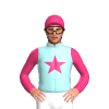 Jockey Silk