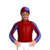 Jockey Silk