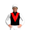 Jockey Silk