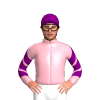 Jockey Silk