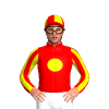 Jockey Silk