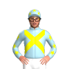 Jockey Silk
