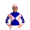 Jockey Silk