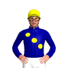 Jockey Silk