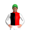Jockey Silk