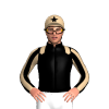 Jockey Silk