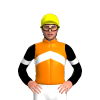 Jockey Silk