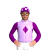 Jockey Silk
